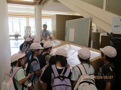 IMG_0879.jpg
