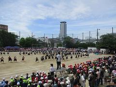IMG_5339.jpg