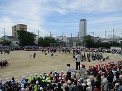 IMG_5352.jpg