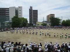 IMG_1054.jpg