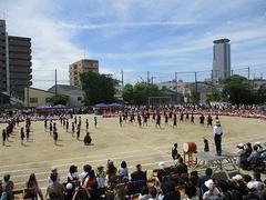 IMG_5361.jpg