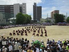 IMG_5329.jpg