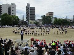 IMG_5298.jpg