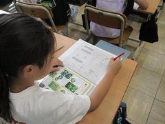 IMG_1174.jpg