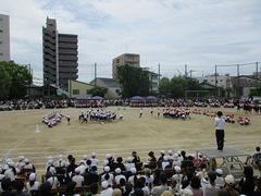 IMG_5440.jpg