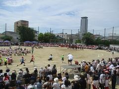 IMG_1038.jpg