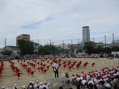 IMG_5394.jpg