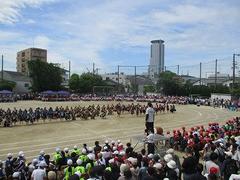 IMG_5319.jpg