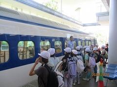 IMG_0880.jpg