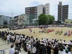 IMG_1076.jpg