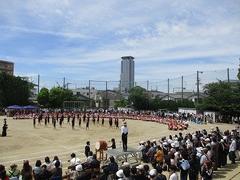IMG_5371.jpg
