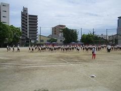 IMG_0930.jpg
