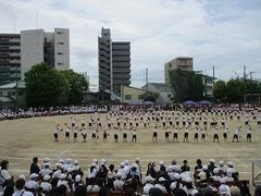 IMG_5425.jpg