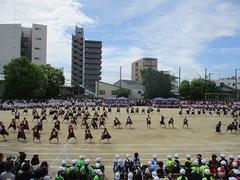 IMG_5338.jpg