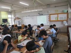 IMG_1377.jpg