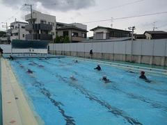 IMG_1325.jpg