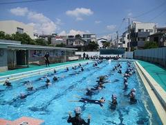 IMG_1368.jpg