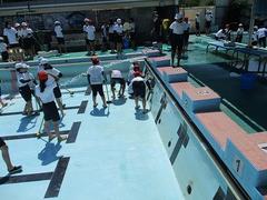 IMG_1229.jpg