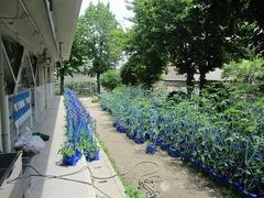 IMG_1304.jpg