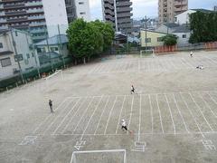 IMG_1251.jpg