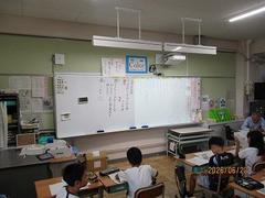 IMG_5546.jpg