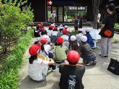 IMG_5515.jpg