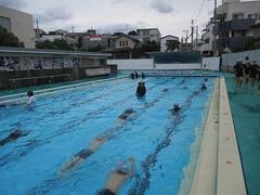 IMG_1319.jpg