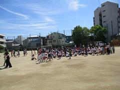 IMG_1186.jpg