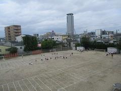 IMG_1248.jpg