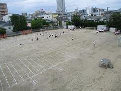 IMG_1250.jpg