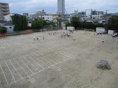 IMG_1252.jpg