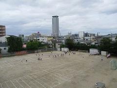 IMG_1254.jpg