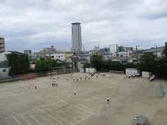 IMG_1255.jpg