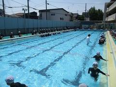 IMG_1372.jpg