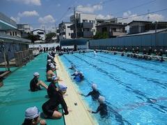 IMG_1373.jpg