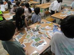 IMG_1445.jpg