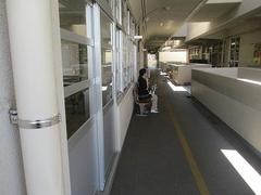 IMG_1470.jpg