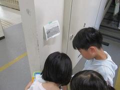 IMG_5474.jpg