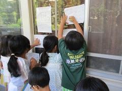 IMG_5481.jpg
