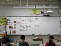 IMG_5548.jpg