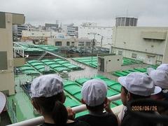 IMG_5568.jpg