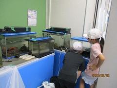 IMG_5582.jpg