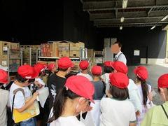 IMG_5528.jpg