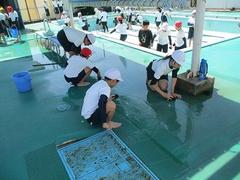 IMG_1231.jpg