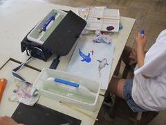 IMG_1474.jpg