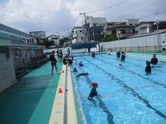 IMG_1683.jpg