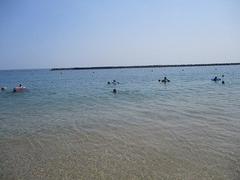 IMG_1794.jpg