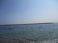 IMG_1845.jpg