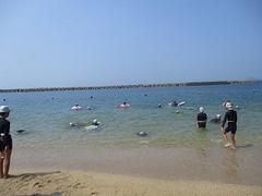 IMG_1955.jpg