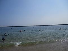 IMG_1825.jpg